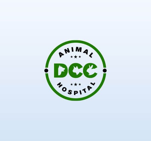 freelance graphic designer