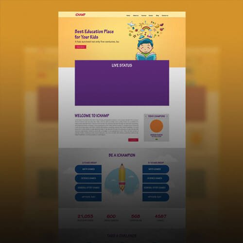 freelance web designer